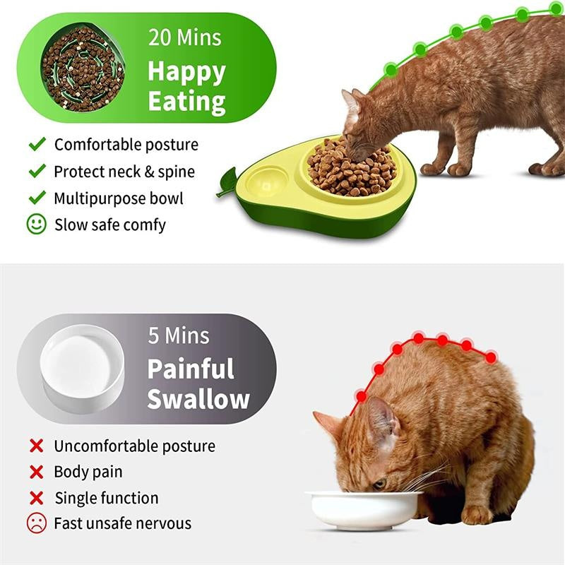 Elevate Your Pet's Hydration and Feeding Experience