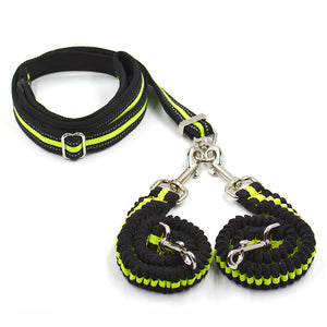 Unleash the Adventure with Our Pet Adjustable Leash