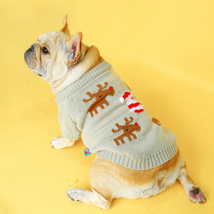 Why Your Pet Needs a Festive Christmas Sweater