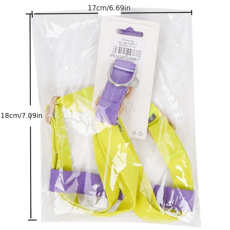 Unleash Adventure with the Rainbow Colorblock Pet Harness Set