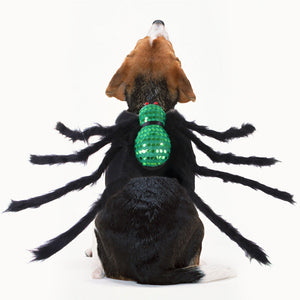Halloween Pet Sequined Spider Chest Costume Outfit