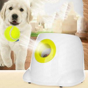 Unleash the Fun with the Automatic Interactive Pet Ball Launcher