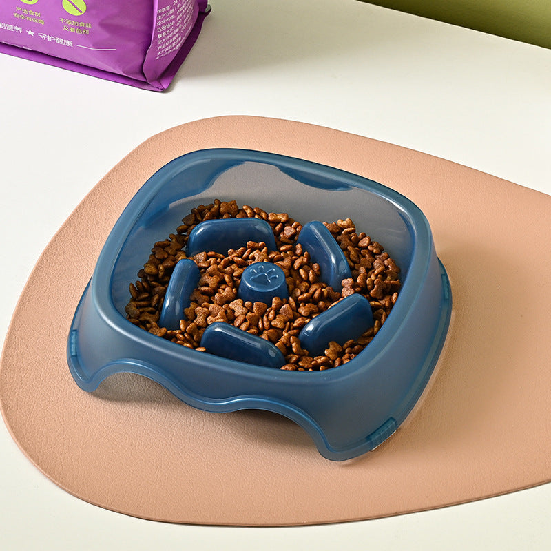 Pet Slow Feeding Bowl Anti Choking Water Food Feeder