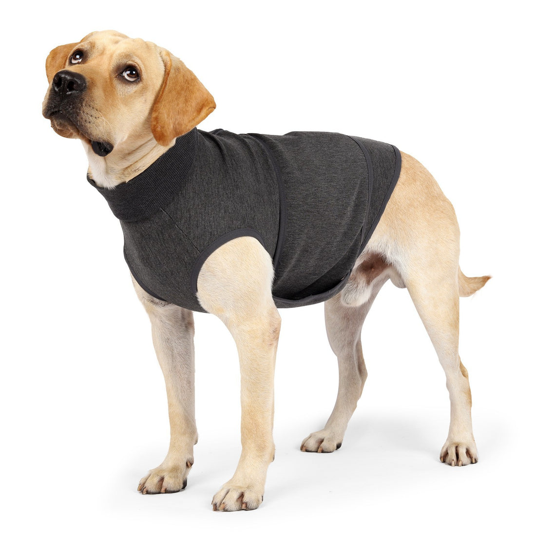 Pet Comfort Cotton Double-Layer Jacket Warm Clothes