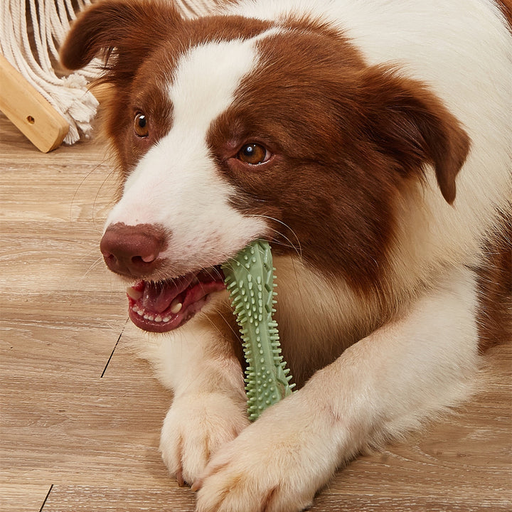 Pet Chew Toy Teeth Cleaning Dental Toy