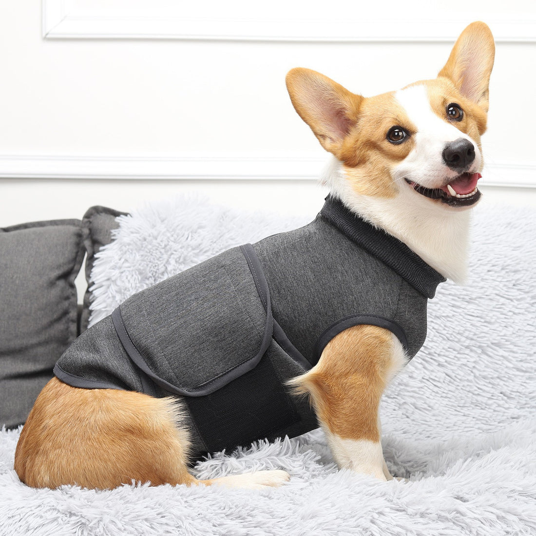 Pet Comfort Cotton Double-Layer Jacket Warm Clothes