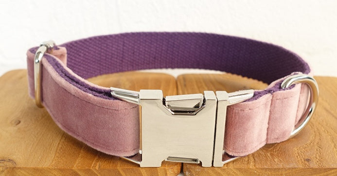 Pet Collar With Leash Set