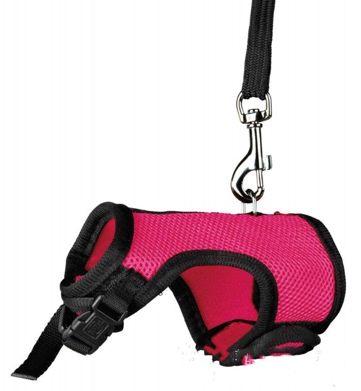 Small Pet Leash Durable Adjustable Walking Strap