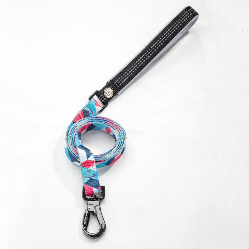 Pet Leash