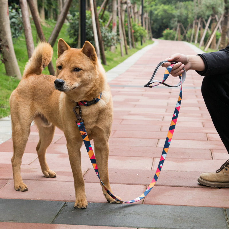 Pet Leash