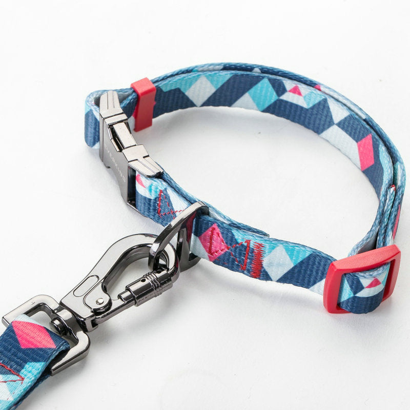 Pet Leash