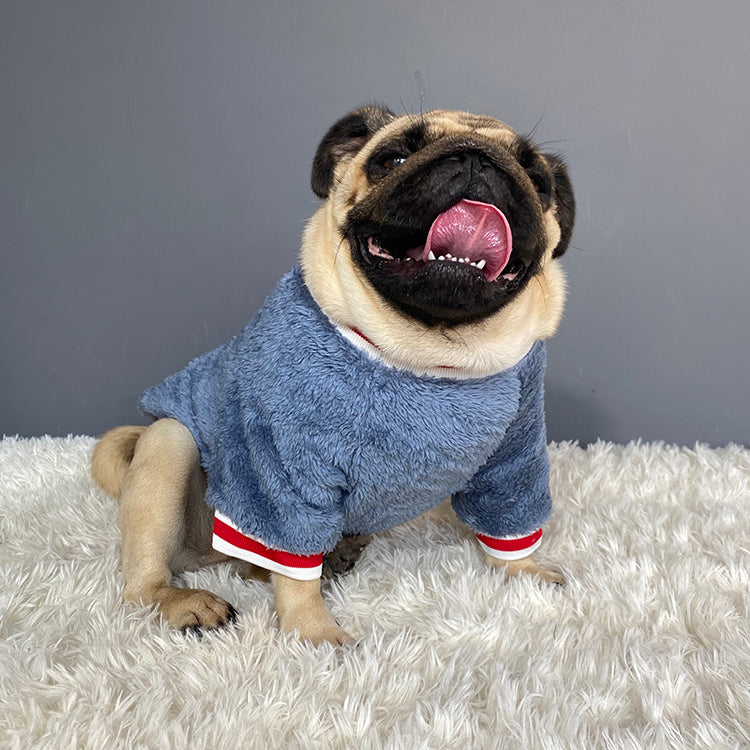 Cozy Knit Pet Sweater Warm Clothing