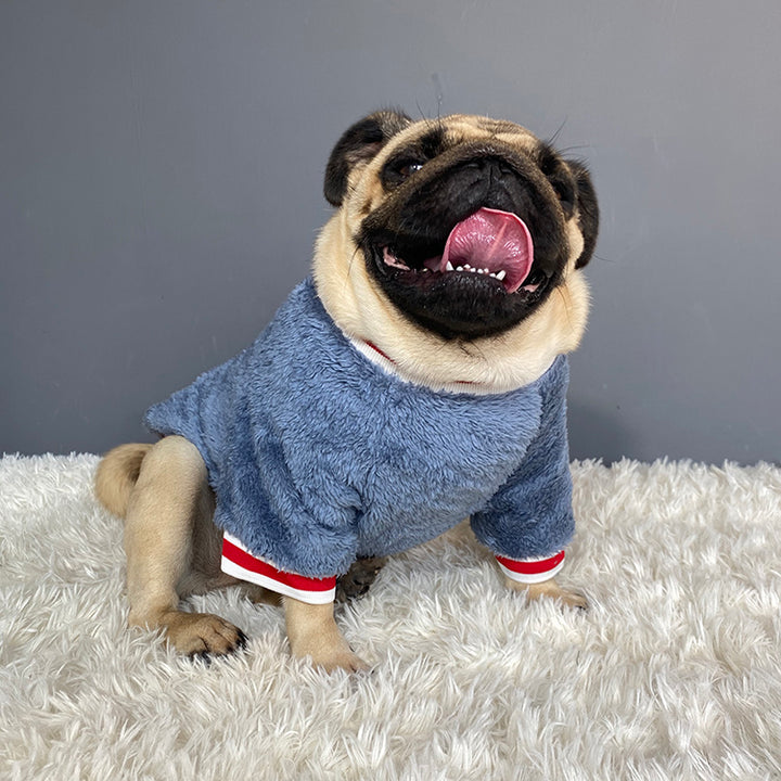 Cozy Knit Pet Sweater Warm Clothing