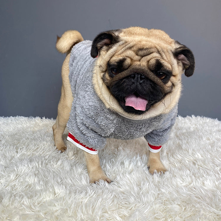 Cozy Knit Pet Sweater Warm Clothing