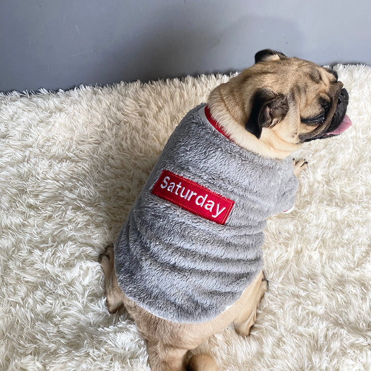Cozy Knit Pet Sweater Warm Clothing