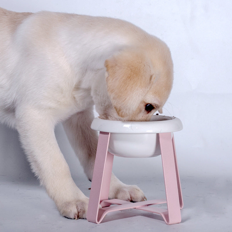 2-in-1 Pet Feeding Bowl With Iron Stand Anti Slip Design