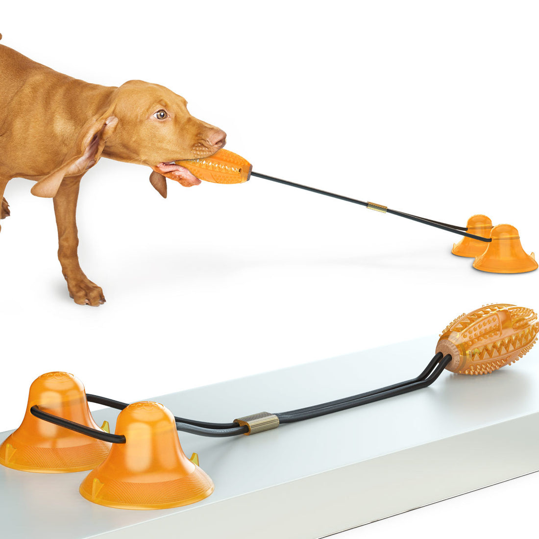 Multifunction Pet Tug Rope Ball Suction Chew Toy