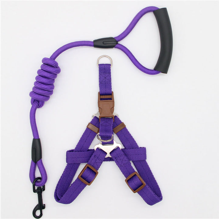 Pet Simple Leash