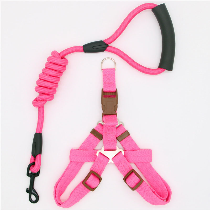 Pet Simple Leash