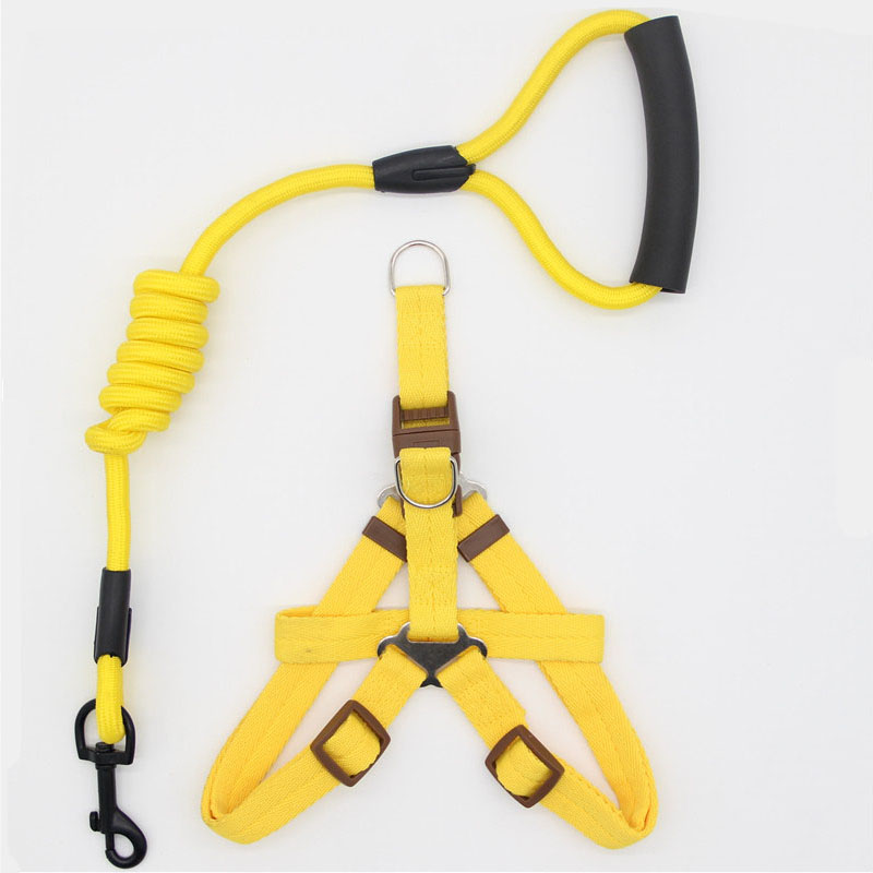Pet Simple Leash