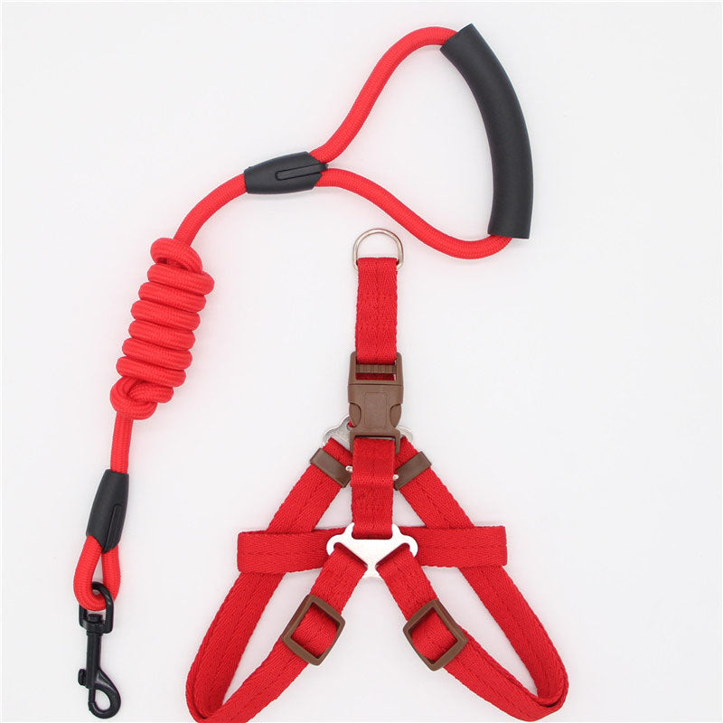 Pet Simple Leash
