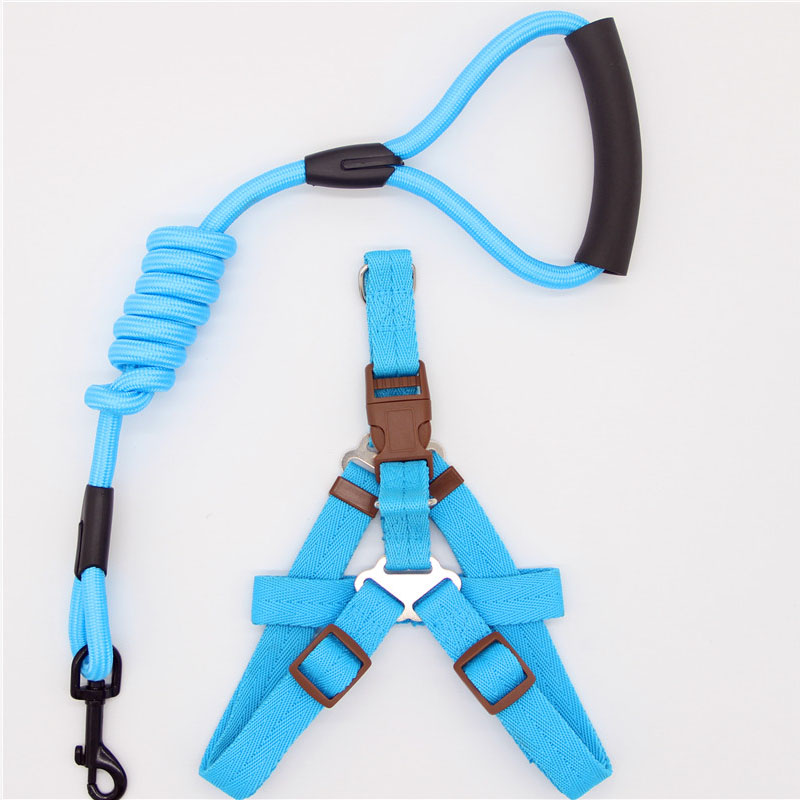 Pet Simple Leash