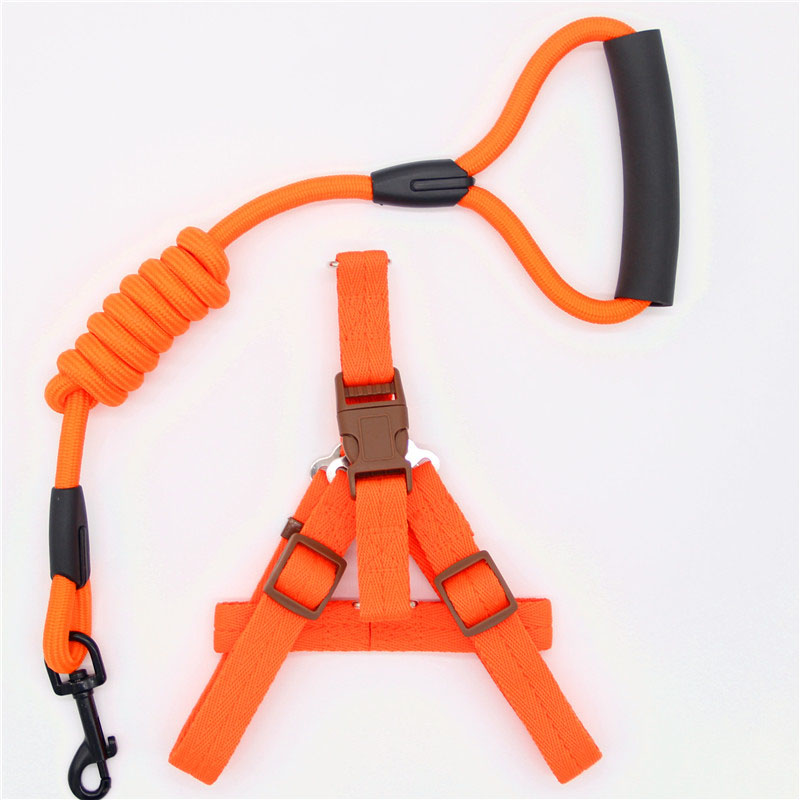 Pet Simple Leash