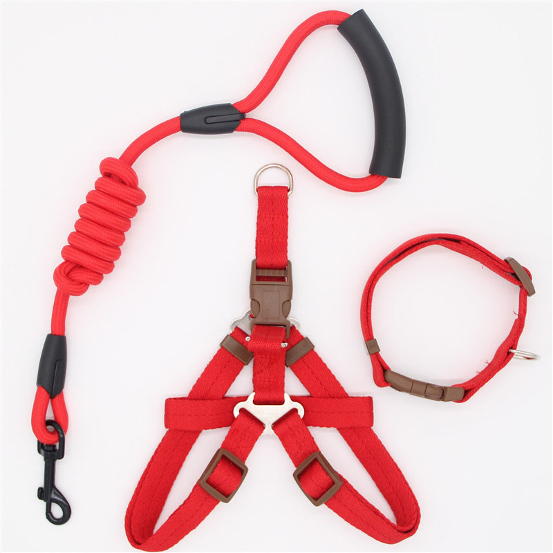 Pet Simple Leash