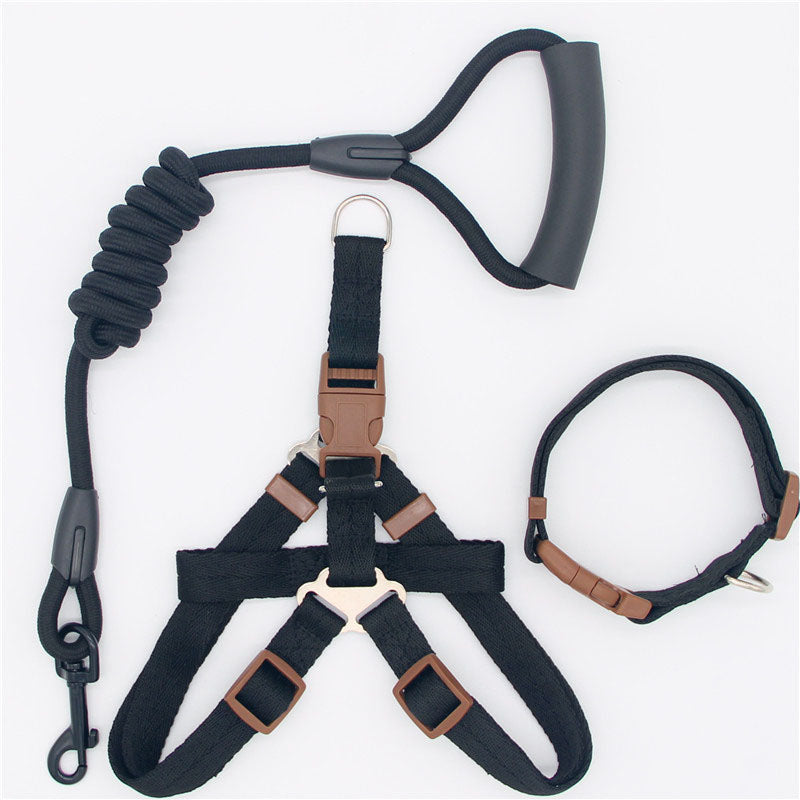 Pet Simple Leash