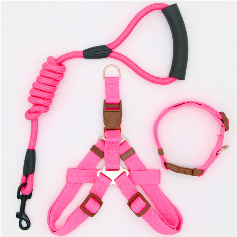 Pet Simple Leash