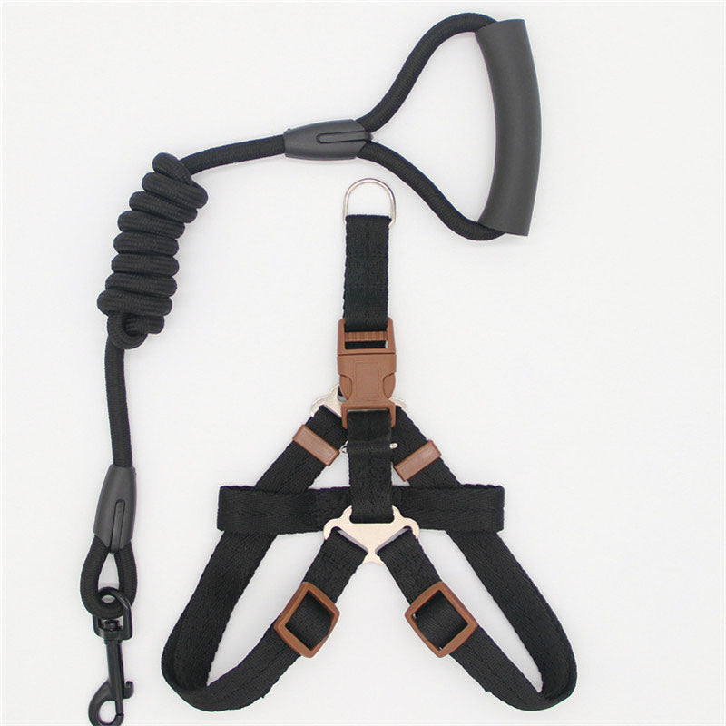 Pet Simple Leash