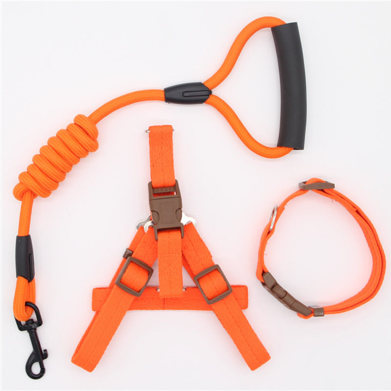 Pet Simple Leash