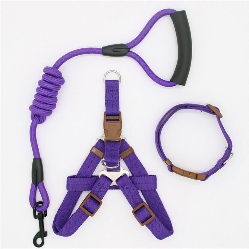 Pet Simple Leash