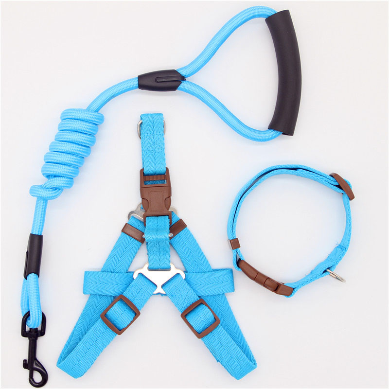 Pet Simple Leash