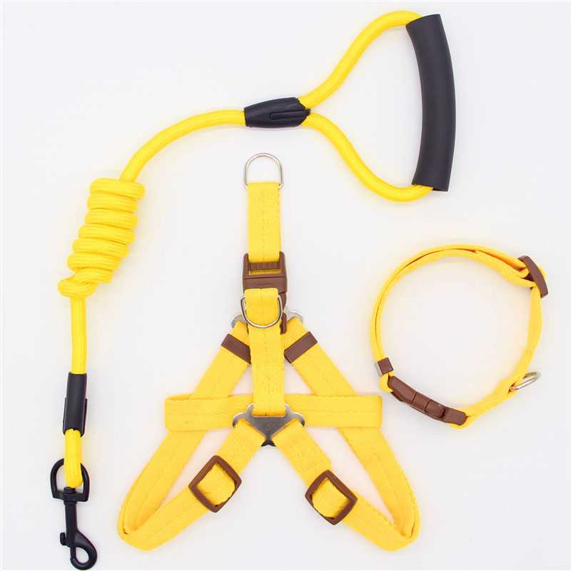 Pet Simple Leash