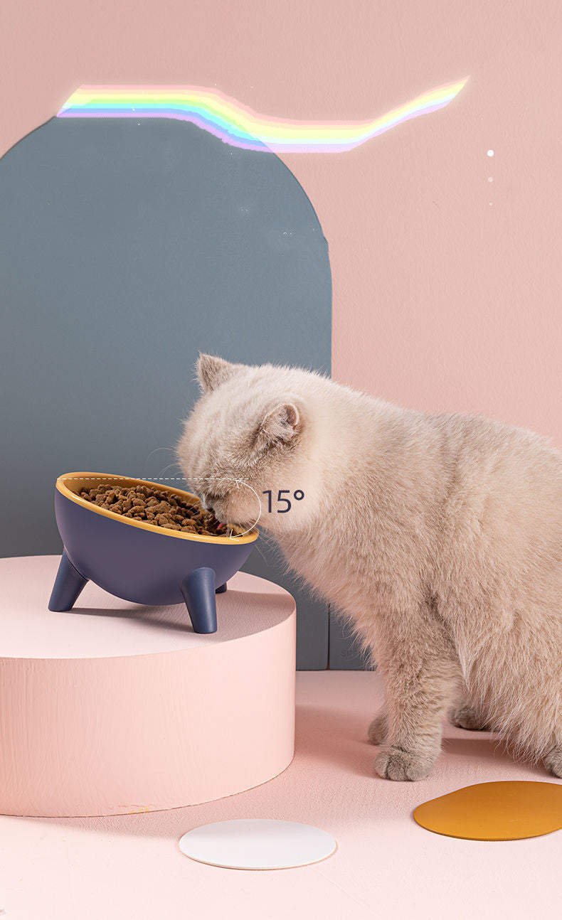 Nordic Style Pet Feeding Bowl With Stand Food Dish