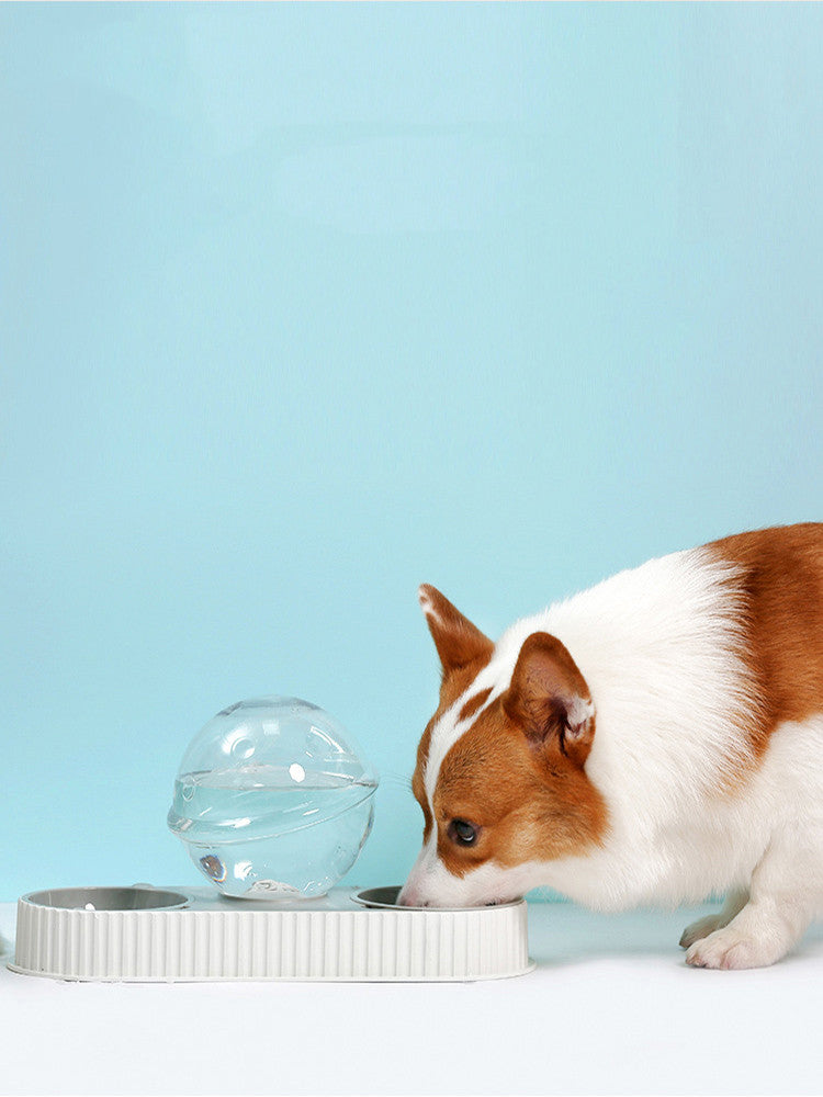 Automatic Pet Feeder And Water Dispenser Bowl Drinkers