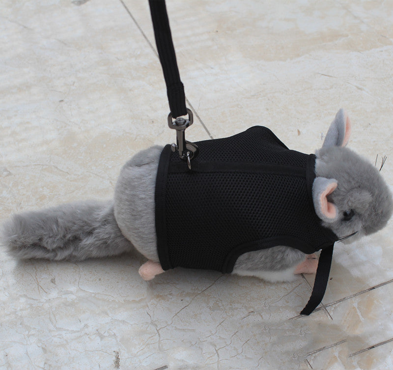 Small Pet Leash Durable Adjustable Walking Strap