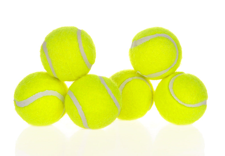 Automatic Interactive Pet Ball Launcher