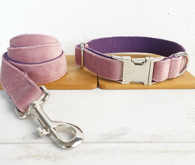 Pet Collar With Leash Set