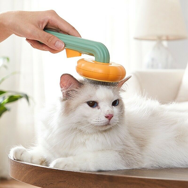 Pet Pumpkin Self-Cleaning Slicker Brush For Grooming Fur