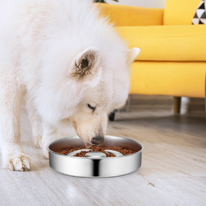 Stainless Steel Pet Slow Feeding Bowl With Neck Protector