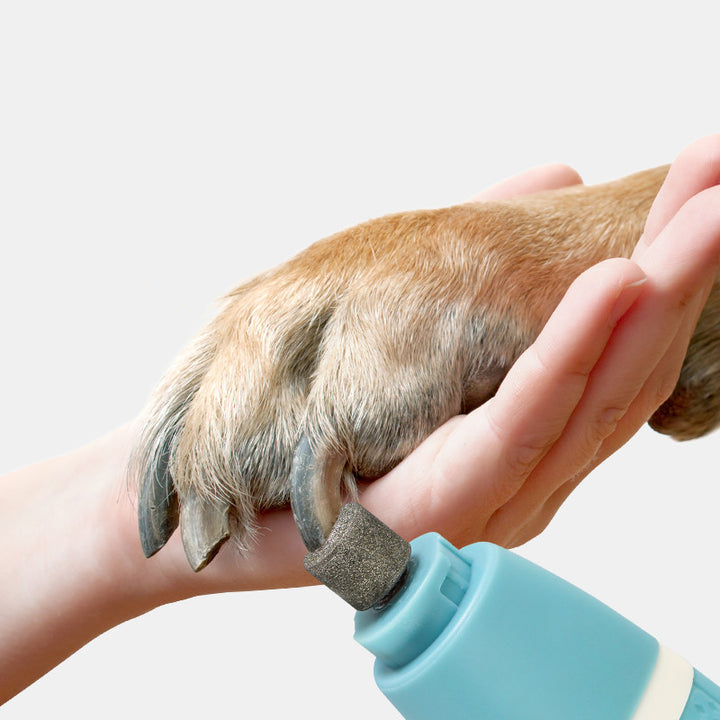 Dual-Purpose Pet Nail Polisher And Hair Trimmer Machine