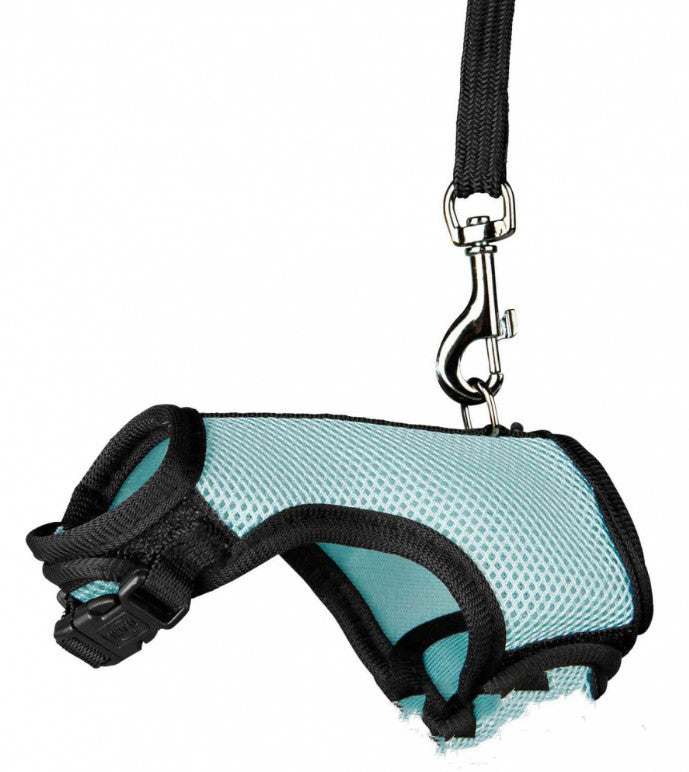 Small Pet Leash Durable Adjustable Walking Strap