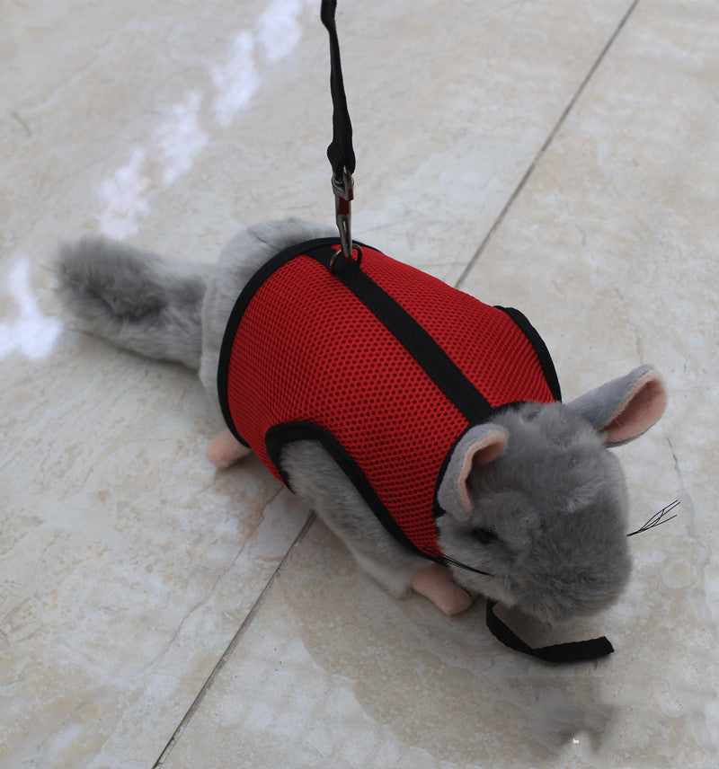 Small Pet Leash Durable Adjustable Walking Strap