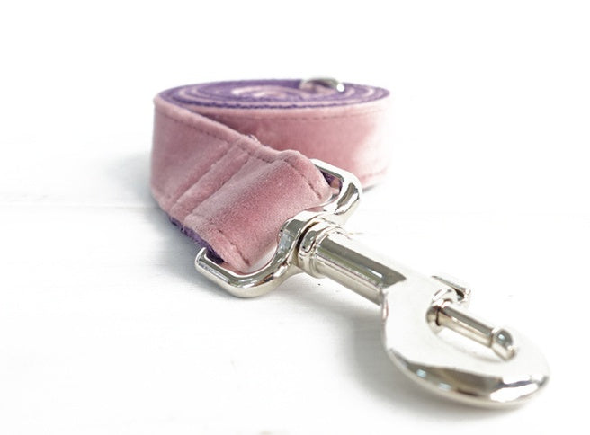 Pet Collar With Leash Set