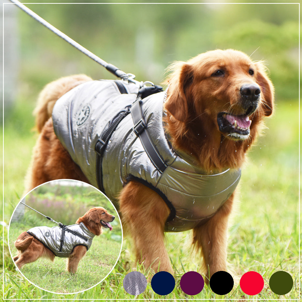 Waterproof Winter Pet Coat With Harness Warm Jacket