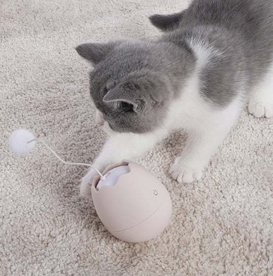 Funny Interactive Pet Toy Entertaining Plaything