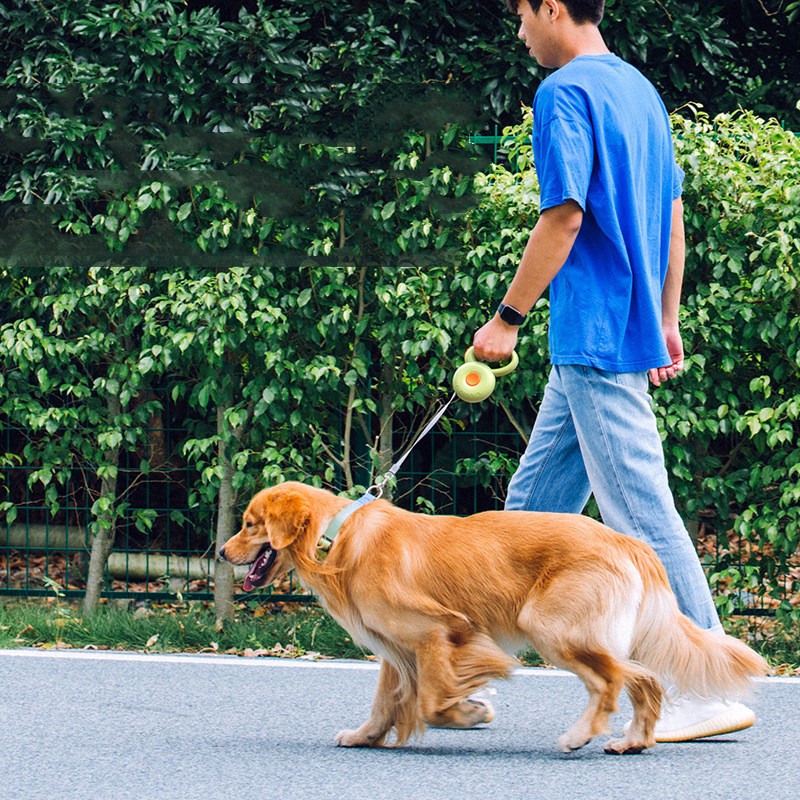Retractable Reflective Pet Leash Durable Rope Walking Lead