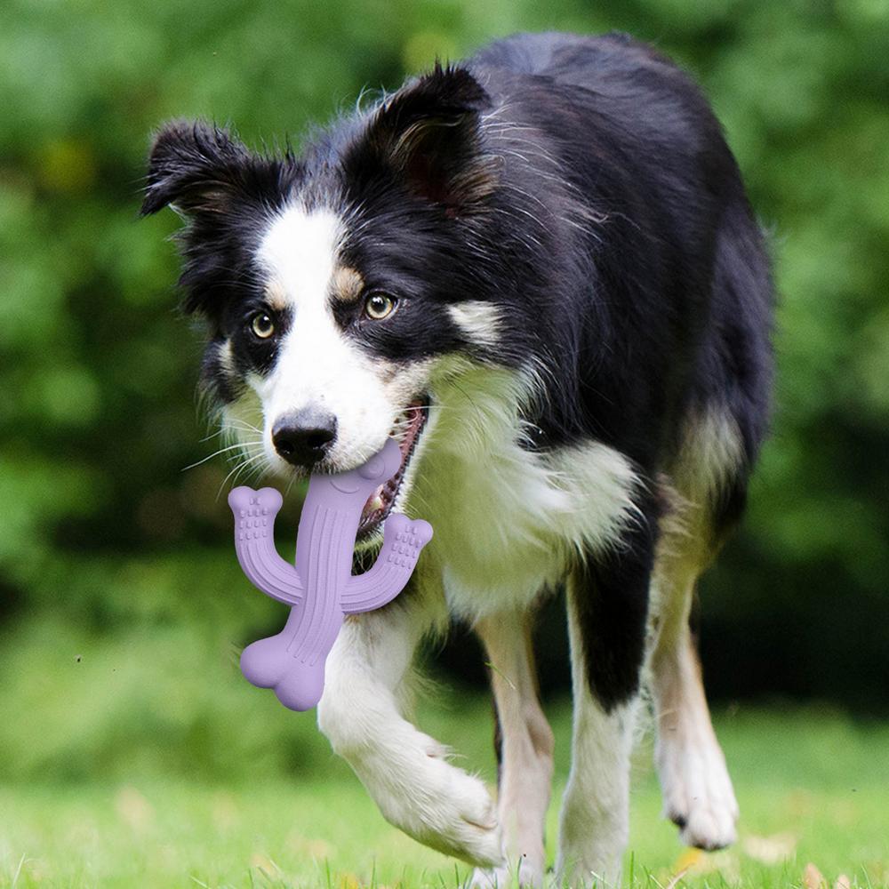 Cactus-Shaped Pet Chew Toy Ultra Durable Interactive Toy